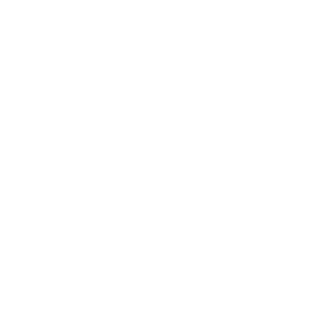 AMEREN