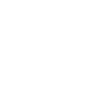 ELSEVIER