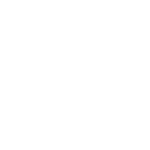 FISKARS