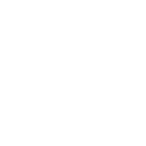 HUSSMANN