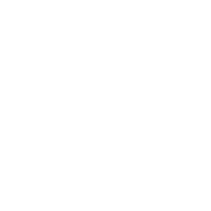 PRIMERICA