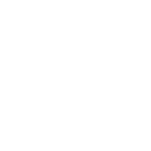 STL-BLUES