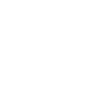 WELLS-FARGO